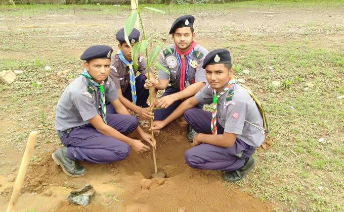 PLANTATION ACTIVITY