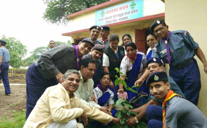 TREE PLANTATION