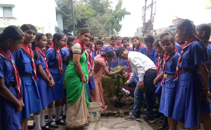 PLANTATION IN SCHOOL CAMPUS
