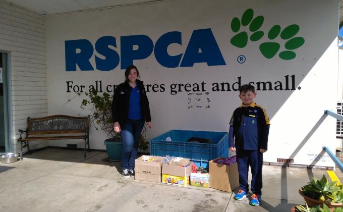 Collecting Donations for RSPCA