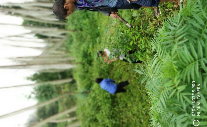 Gesarling Lhakhang (temple) cleaning campaign
