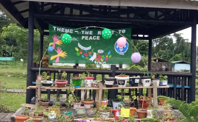 Awareness on peace