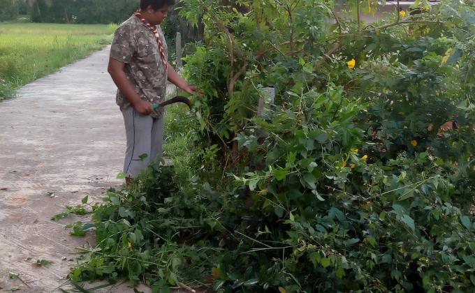 clening the road and service to farmer