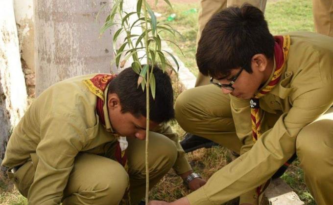 plantation activity