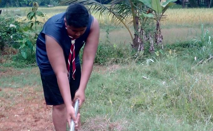 Navaratri cleaning program
