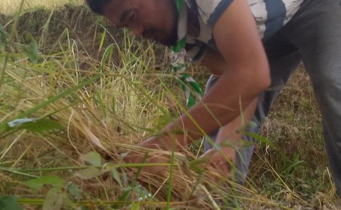 Boosting Community Yeilding