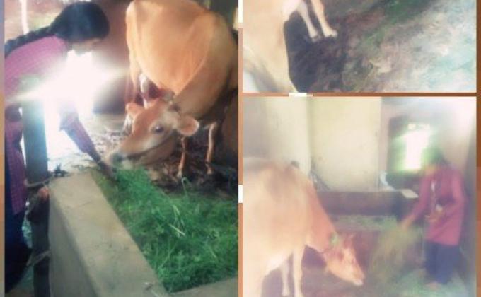 “Rovers 100 years 100 days service” from 23/09/2018 to 31/12/2018 BSG Udupi.Karnataka. INDIA.From 12th November to 21st November 2018. 