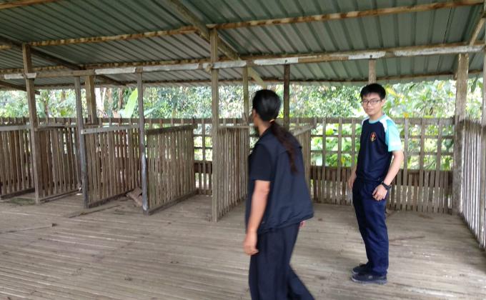 (Misa Island Goat Project: Update 3) Membersihkan Kawasan Tapak