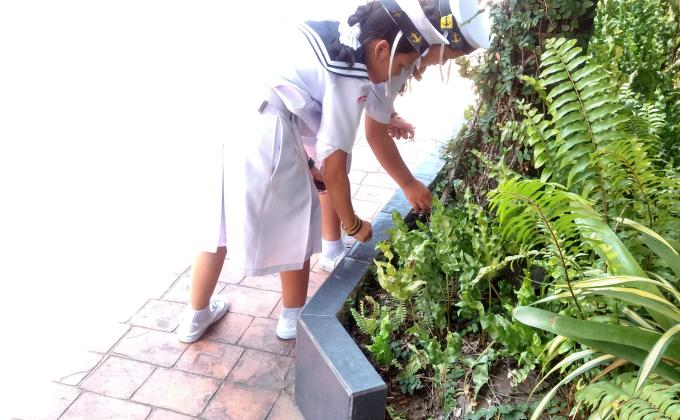 เก็บขยะภายในโรงเรียน