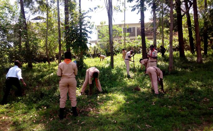 environment conservation