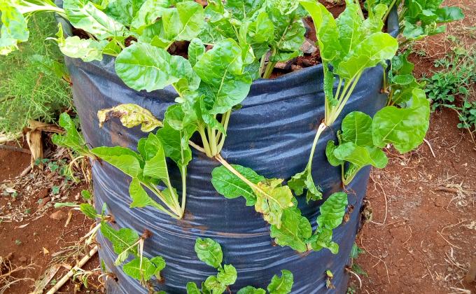 smart farming.
