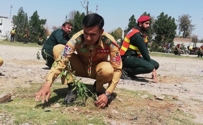 TREE PLANTATION COMPAIGN 