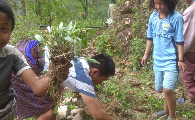 Opportunity for future leaders