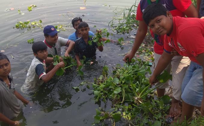 কচুরিপানা নিধন কর্মসূচি