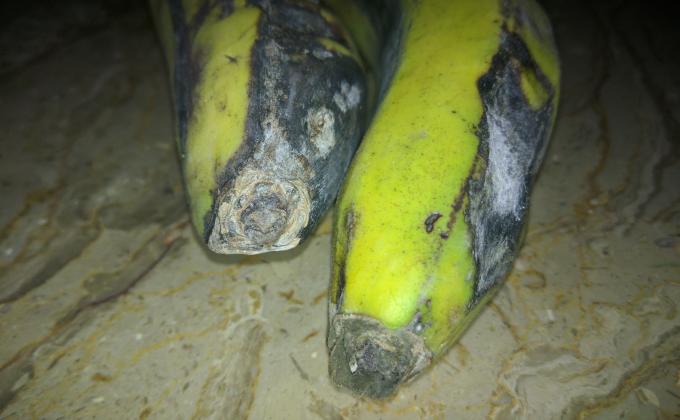 Buying "funny" fruits