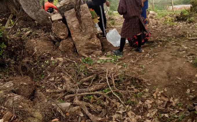 modifying the scout garden of Tsirangtoe Central School