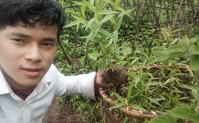 Planting 50 trees