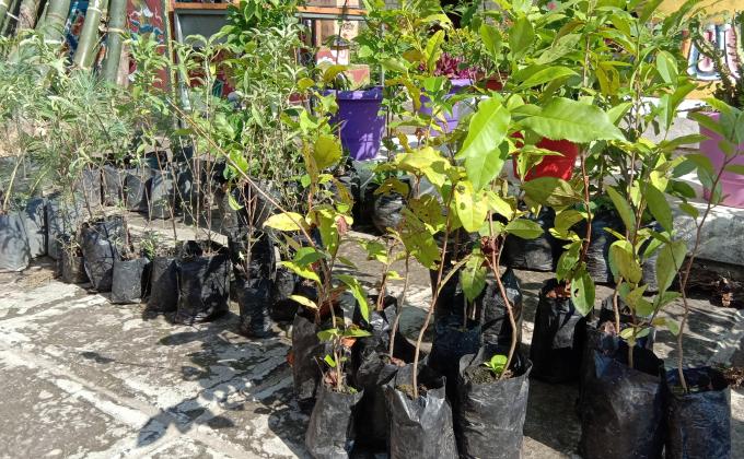 Social Forestry Day celebration at Jampeling CS