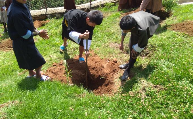 community service (2)