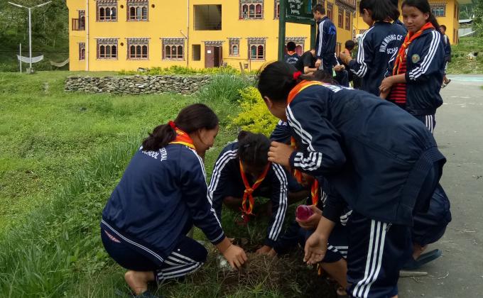 June 2nd tree plantation