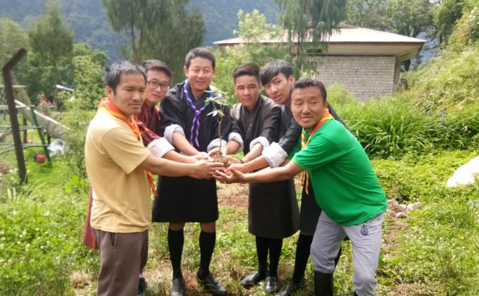 Plantation for greener school
