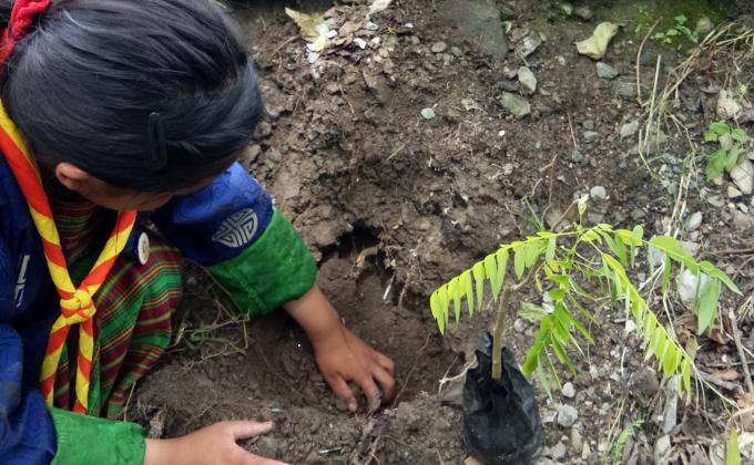 Social forestry day 