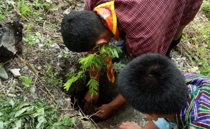 Celebration of world environmental day