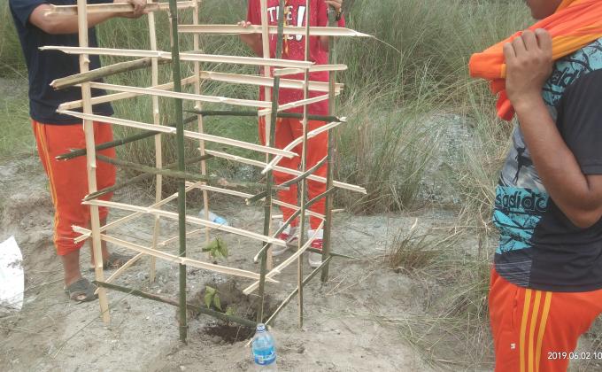 plant trees for good resources