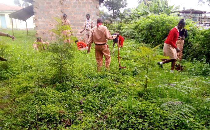 Environmental Conservation.