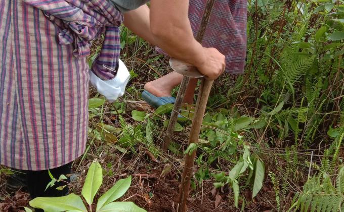 World Environment Day