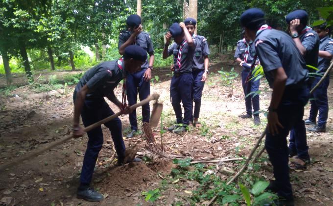 Planting trees