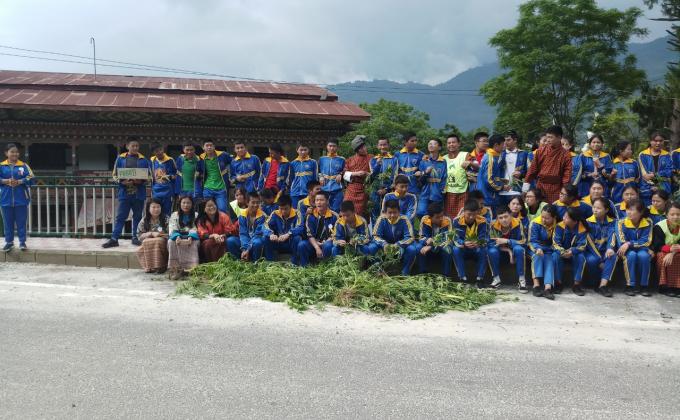 Messenger of peace for no tobacco day
