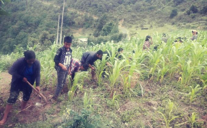 Community service (01)