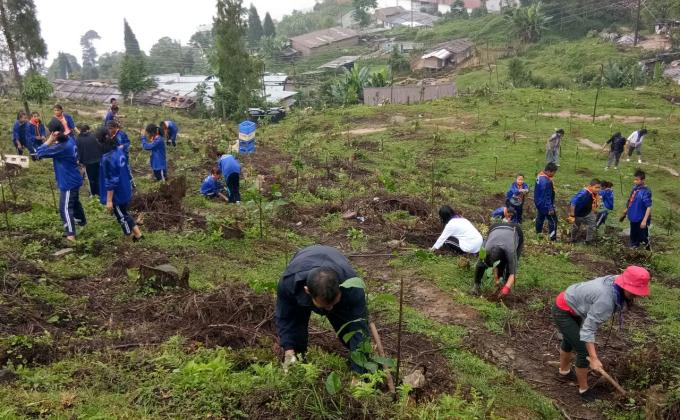 Importance of forest 