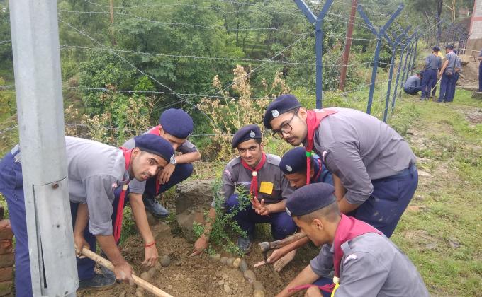 Tree Plantation Drive at STC Rewalsar, Mandi