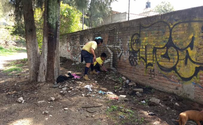 PARED VERTICAL CON PET