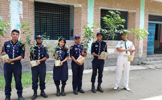 Tree Plantation 2019