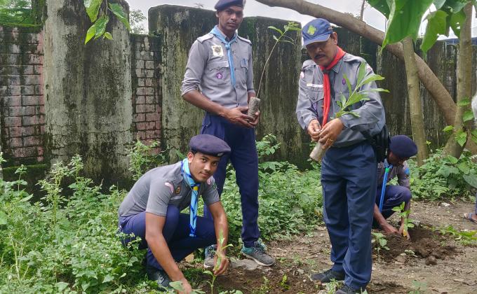Tree plantation program