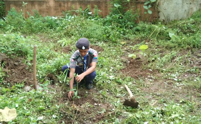 World Environment Day 2020