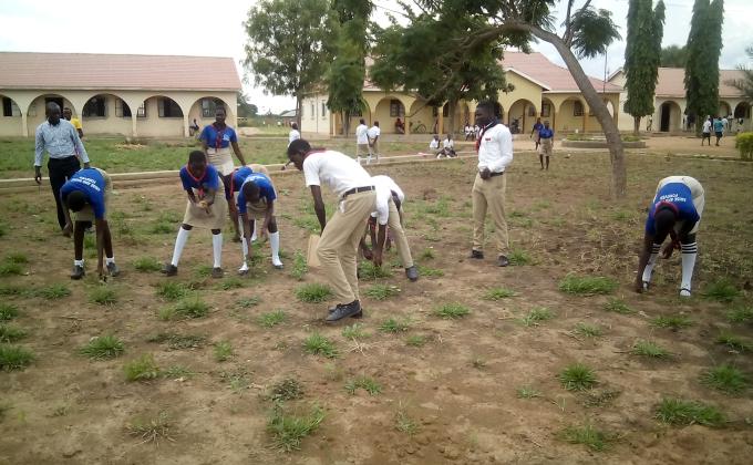 A scout conserves nature,Rhema high school plants pasture palm(grass)