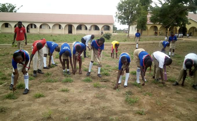 A scout conserves nature,Rhema high school scouts implement the law.