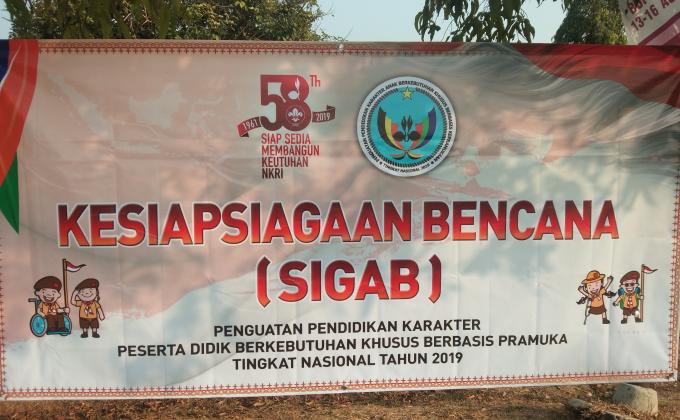 Disaster Preparedness for Disability Scouts