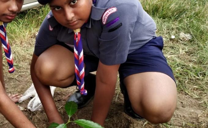 SAMKALP - PLANTATION