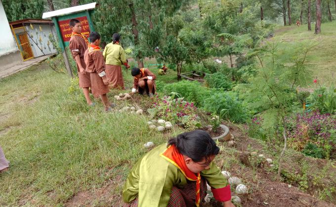 Adoption of tree in celebration of world peace day.