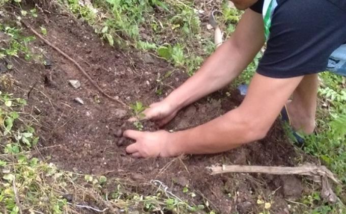 Greening Project for two weeks (from 22nd September to 5th October)