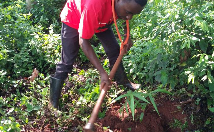 Environmental conservation 