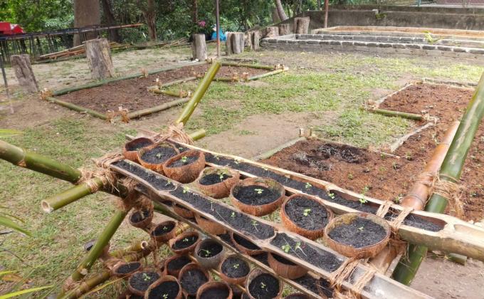 Go Green!!! Organic Garden