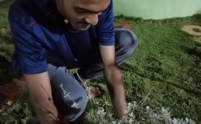 Plant A Tree for better Tomorrow!!