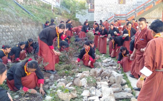 Cleaning Campaign