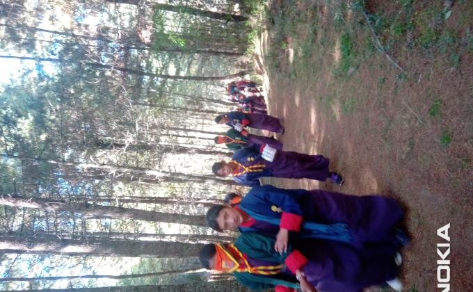 hiking 